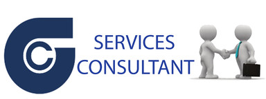 GC SERVICES CONSULTANT LLC